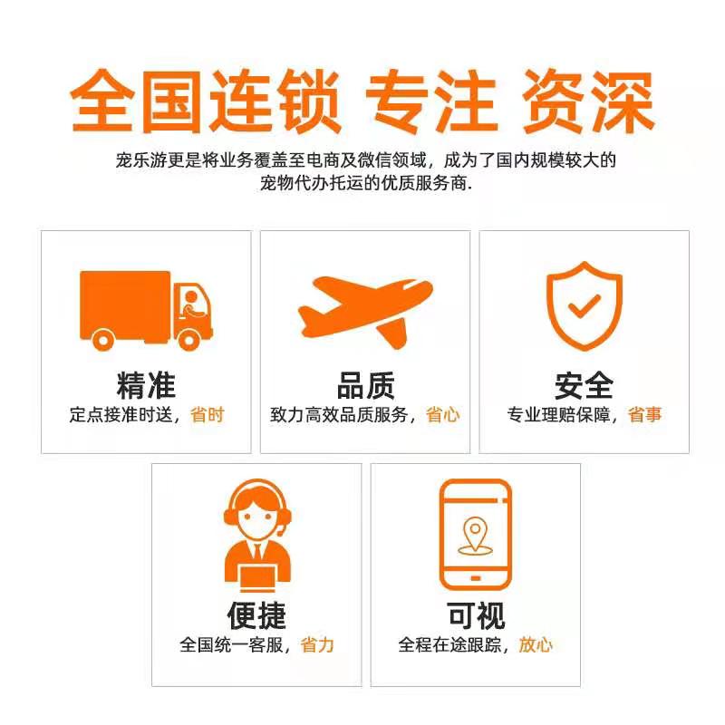 常州市|航空货运宠物的基本条件——成都宠物空运